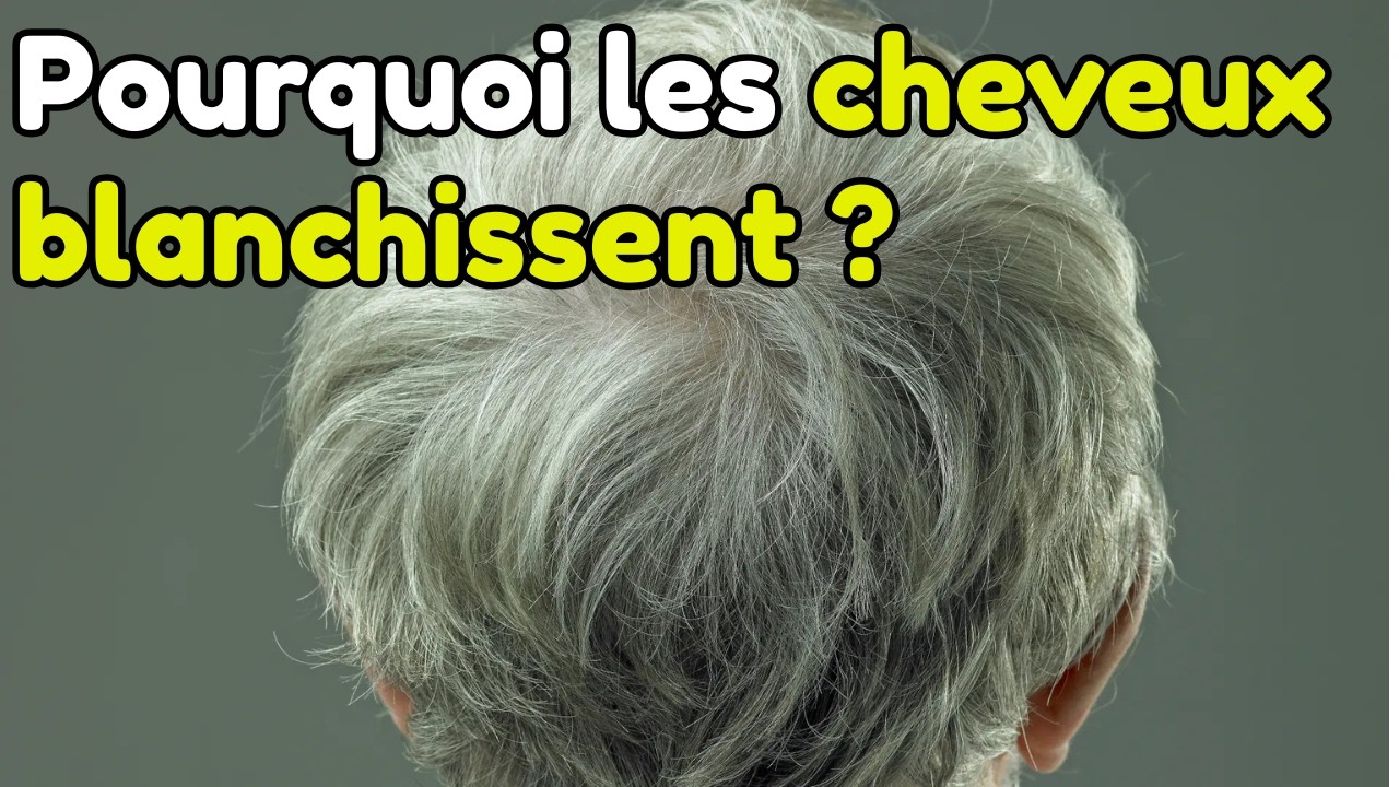 D'où viennent les CHEVEUX BLANCS ? | La science explique tout